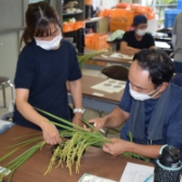 水稲・大麦・大豆