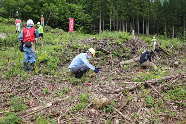 双爽グループ 「北陸コカ・コーラ うるおいの森づくり」有志の会