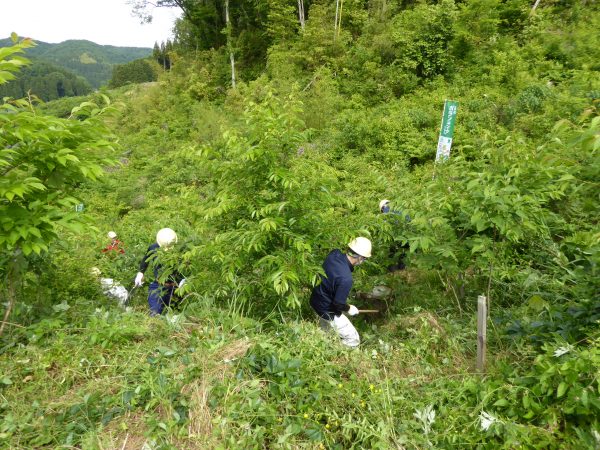 オダケホームグループ“安心の森づくり”クラブ