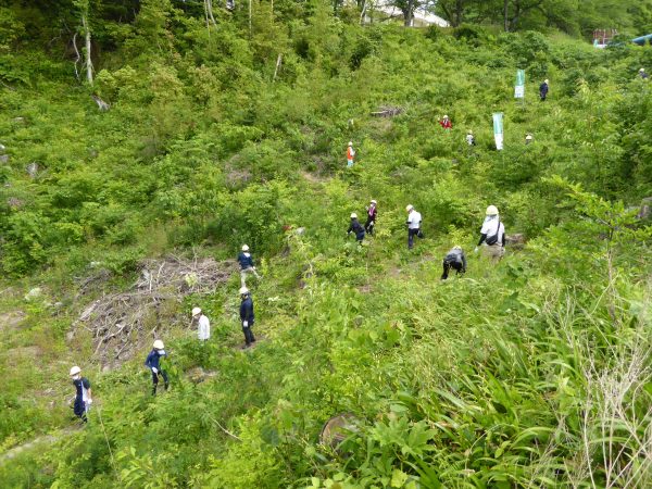 オダケホームグループ“安心の森づくり”クラブ